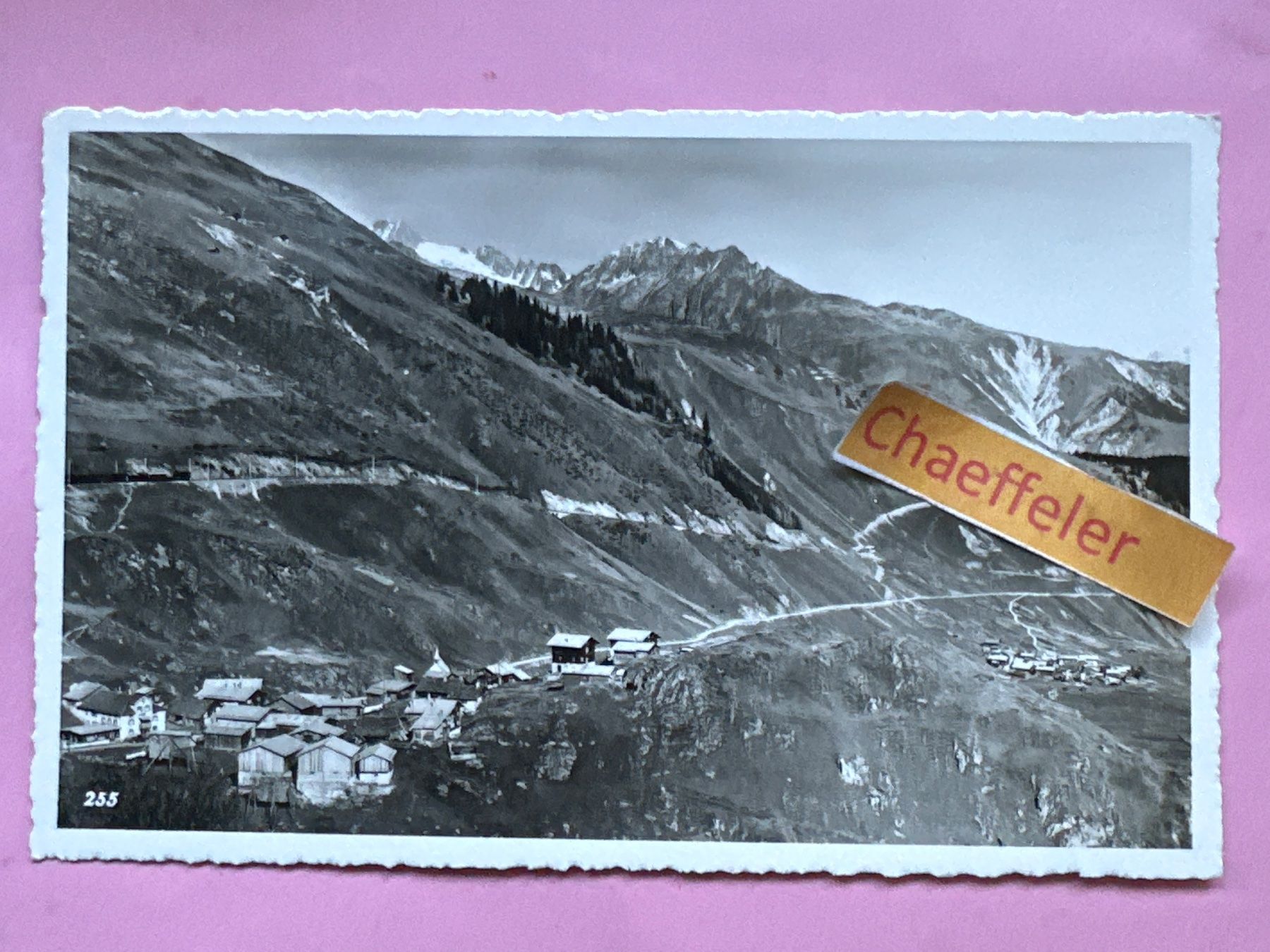 Ansichtskarten: Feldpost:  Tscharnutt im Engadin. – Gebraucht aus Zürich von Chaeffeler