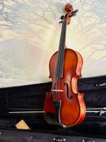 Viola 13 – Neu