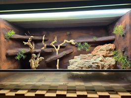 Terrarium