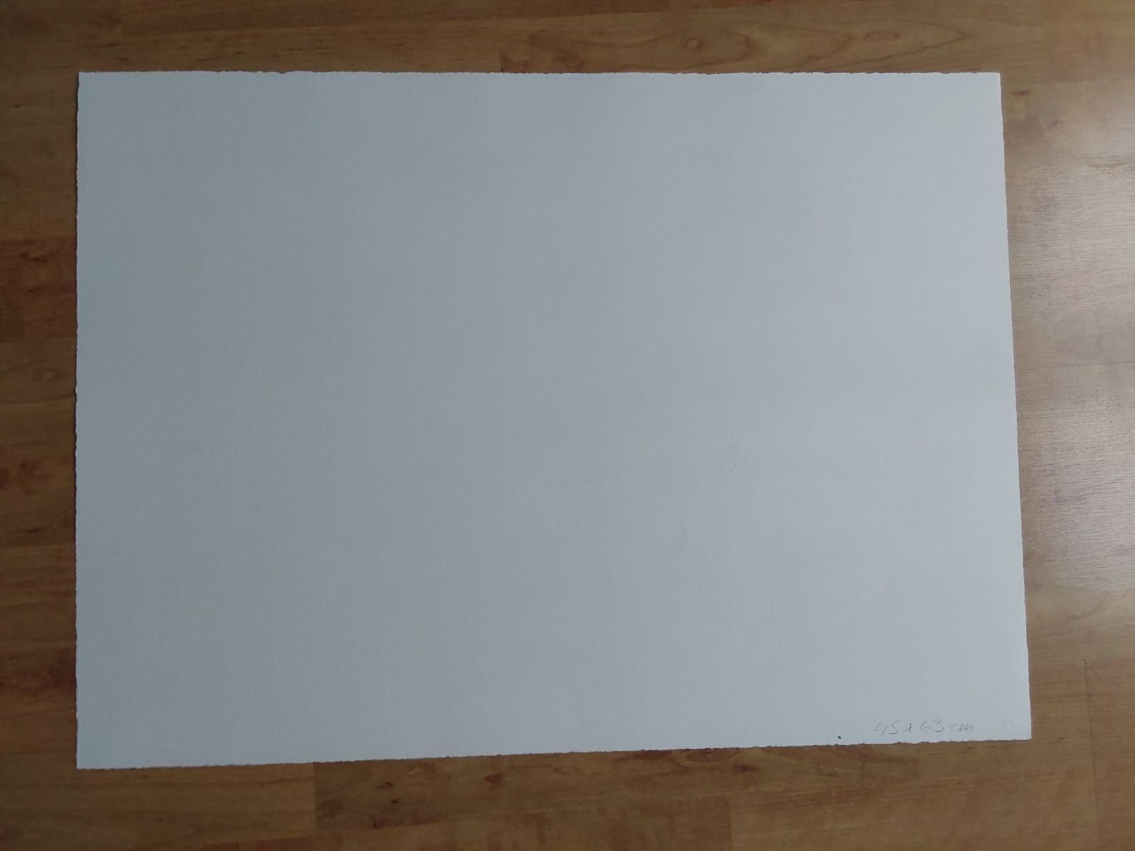 Grafica & Litografie: Erni Hans. Lithographie 45x63cm. – Usato da Steinach venduto da Chilli1957 1