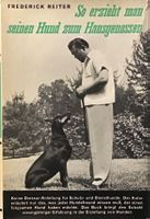 So erzieht man seinen Hund zum Hausgenos