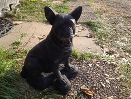 Französische bulldogge hund deko in out