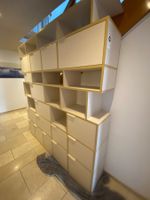 Regal Tylko beige/ gold