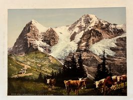 Wengeralp antike Fotografie Foto Photochrom ca. 1890-1900.