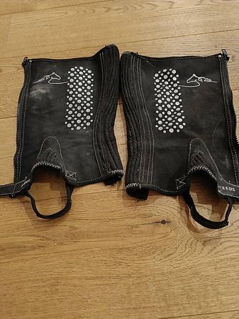 Chaps von steeds