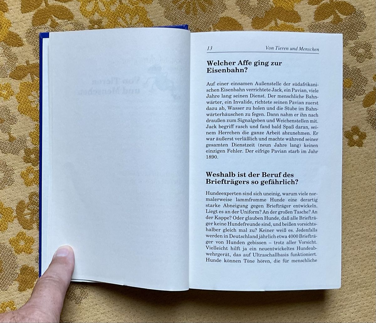 Bücher: Das Buch der 1000 Abenteuer von 1997 – Gebraucht aus Endingen von nathan05 6
