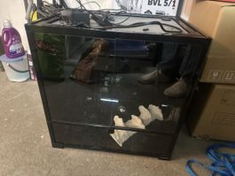 Terrarium en verre HabiStat — Excellent état, prêt à accueil