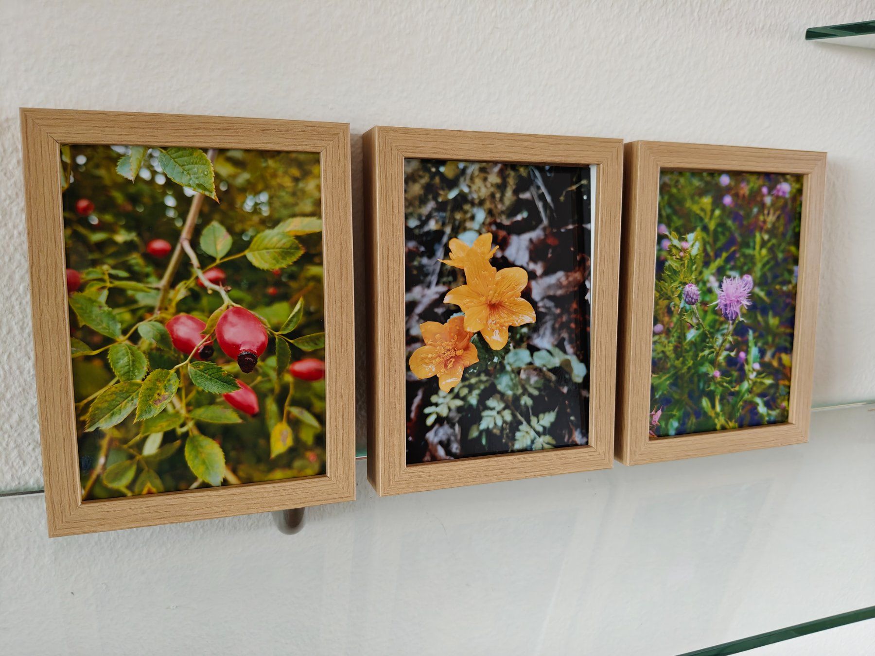 Foto & Immagini: Farbfotografie Herbst, drei Bilder – Nuovo e nell'imballaggio originale da Winterthur venduto da GDaniela 1