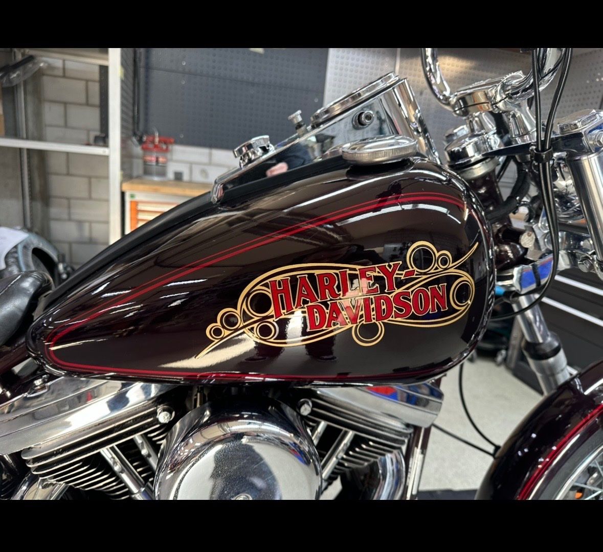 Harley-Davidson Chopper: Harley Davidson Softail 1340 – Gebraucht aus Lyss von riderboy 4