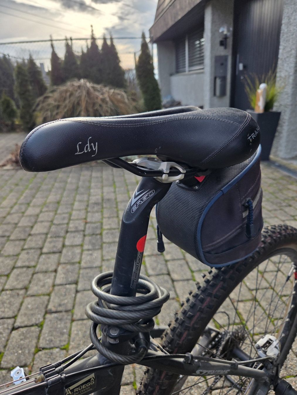 Stevens Biciclette: Mountainbike Steven manic – Usato da Hünenberg venduto da pma_dm5g 6
