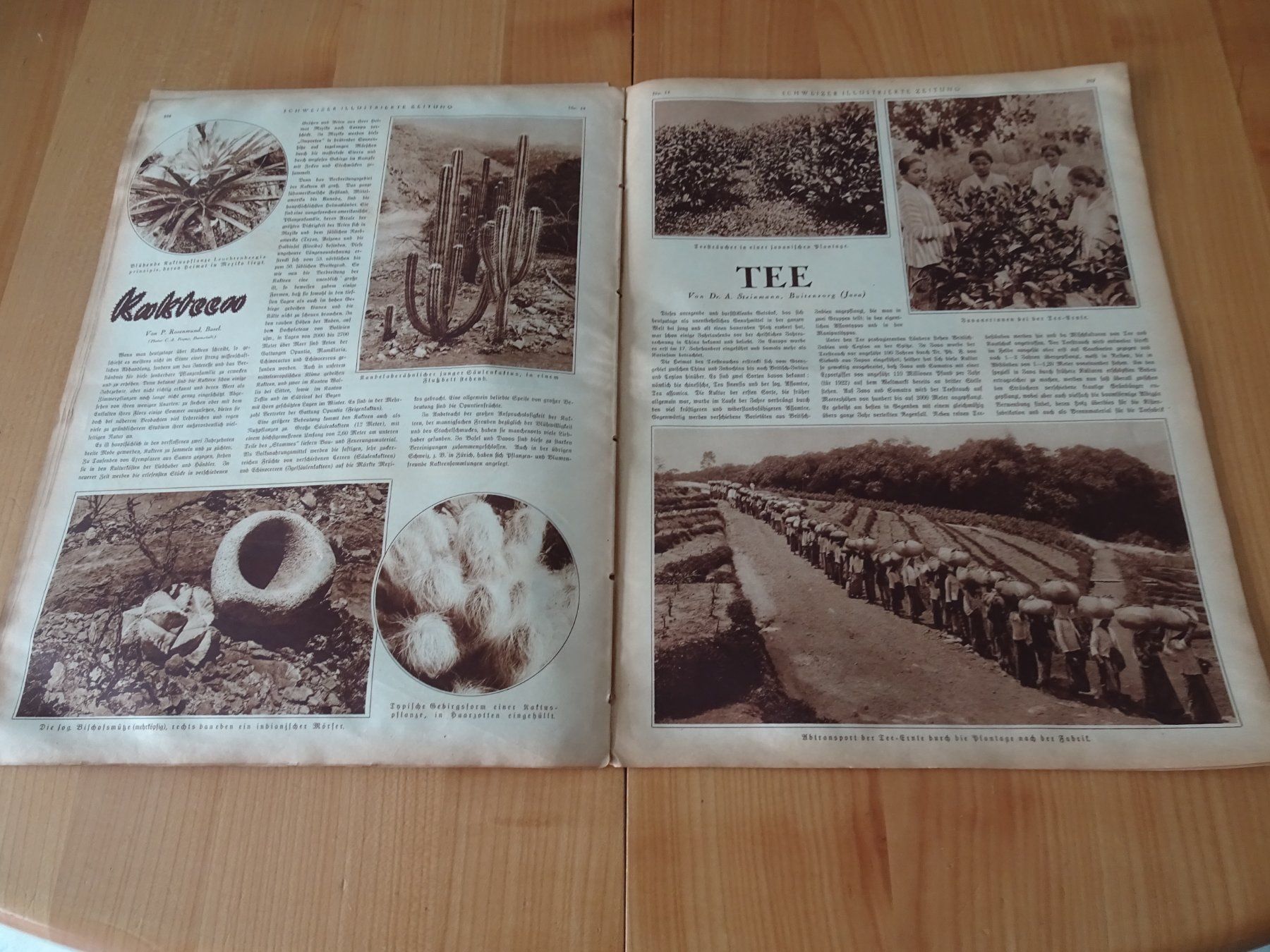 Riviste & Magazine: Schweizer Illustrierte Zeitung"  Vom 2.Juli 1925  Über 100Ja – Usato da Zürich venduto da Roulet 8