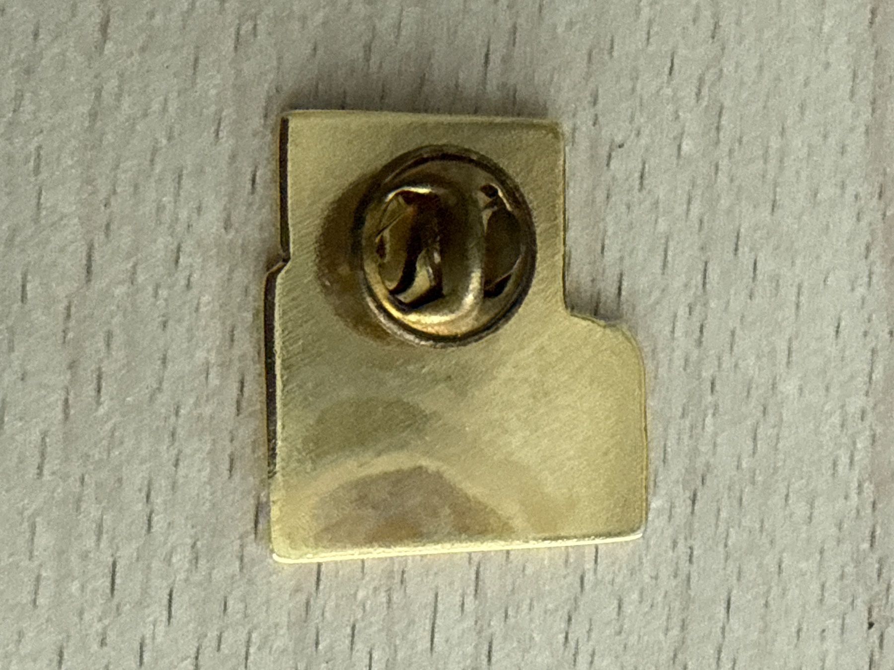 Placchette & Badge: Pin Stockalper-Palast Brig – Usato da Glattbrugg venduto da Schweigmatt 1
