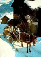 ZINAL Familie mit Pferde-Wagen - Heu-Transport