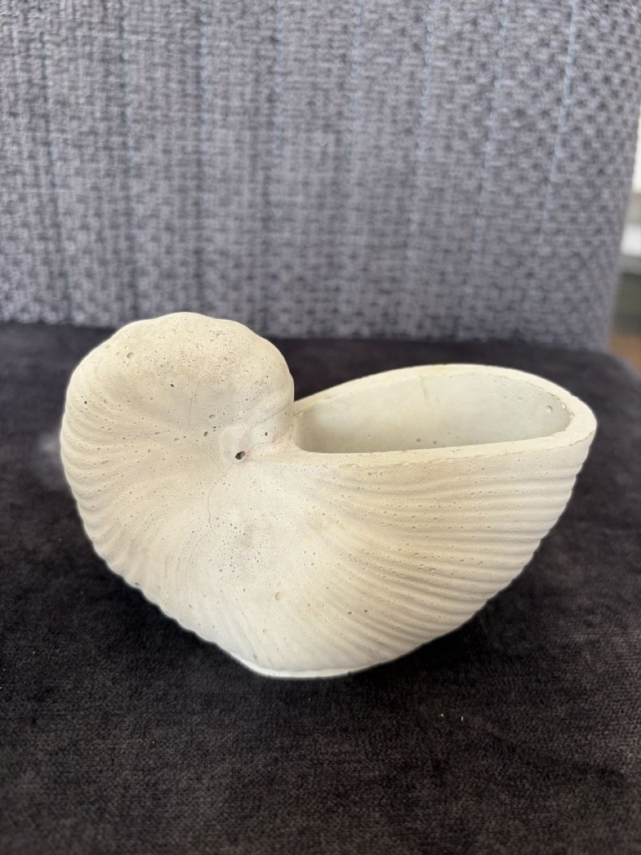 Tutte le decorazioni: Betonvase Muschel Form hellgrau  – Usato da Opfershofen TG venduto da dan_nxk8 2