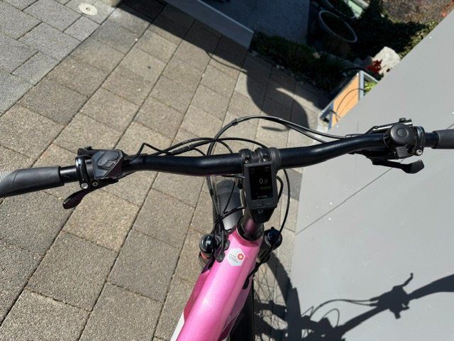 Flyer Biciclette: E-Bike Flyer Mountain Bosch – Usato da Reiden venduto da aidaramon 3