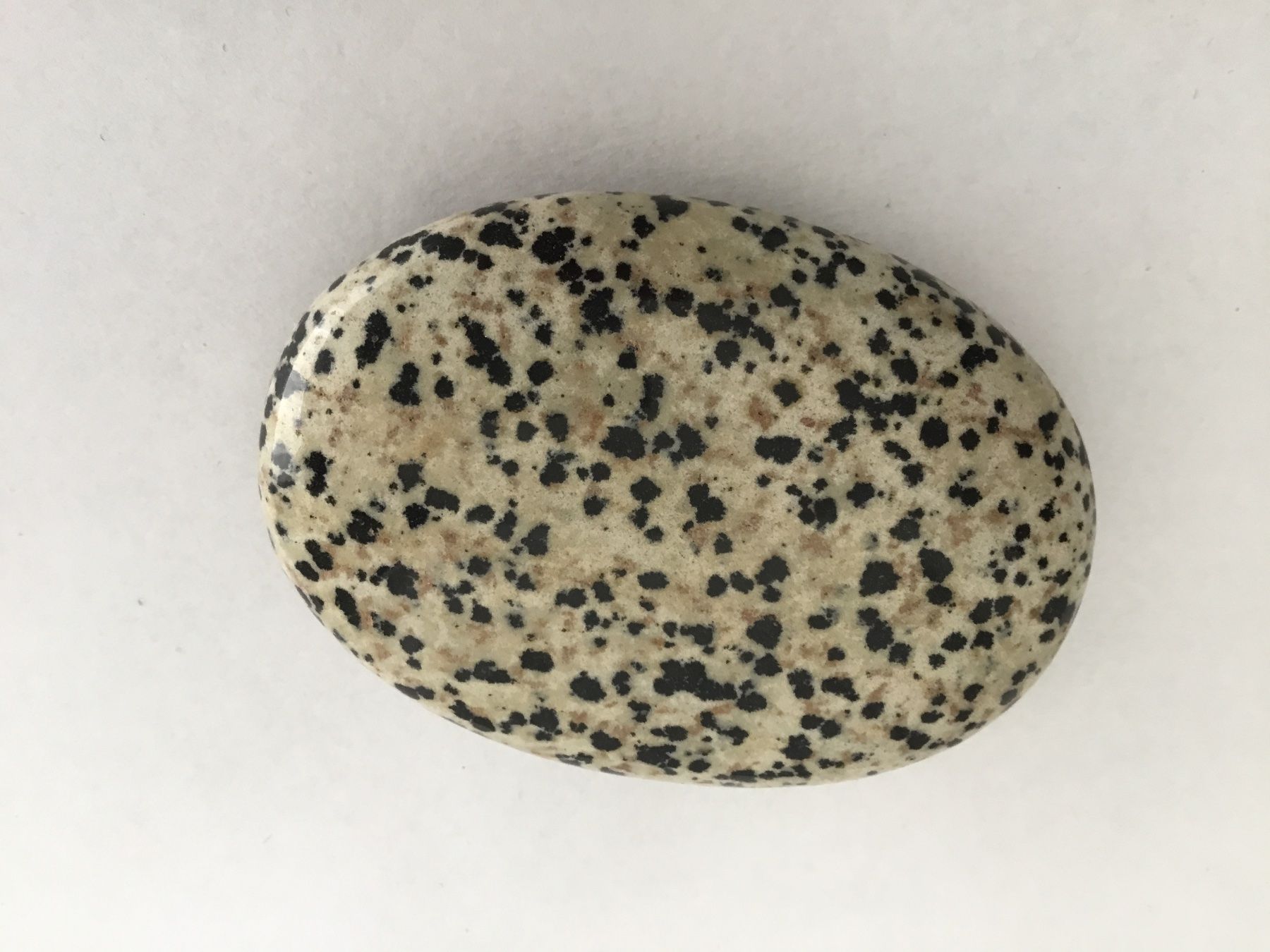 Minerali & Pietre curative: Seifenstein Dalmatinerjaspis Heilstein – Nuovo e nell'imballaggio originale da Doppleschwand venduto da Fortuna5859 1