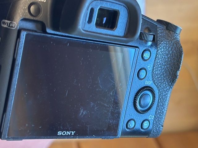 Sony Kamera: Sony DMC-RX10M2 / RX10 II / Mark 2 – Gebraucht aus Seewis Dorf von Plebejus 6