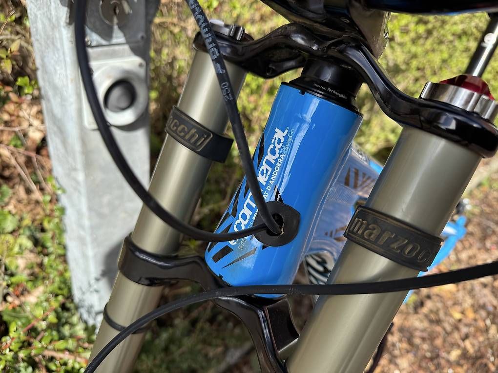 Biciclette: Commencal Supreme DH Racing – Usato da Biberist venduto da Design-R 3