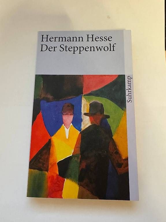 Libri: Hermann Hesse: Der Steppenwolf – Usato da Schlieren venduto da may_h2yx