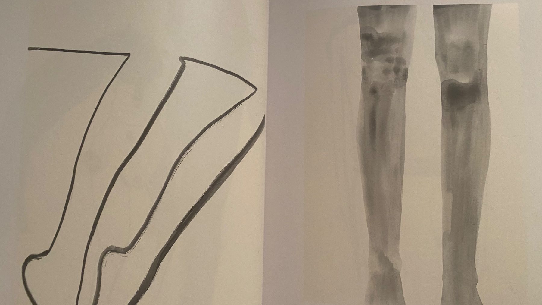 Libri: Silvia Bächli Kunsthalle Bern 1996 der Körper ein Werden – Usato da Bern venduto da Ensadinado 2