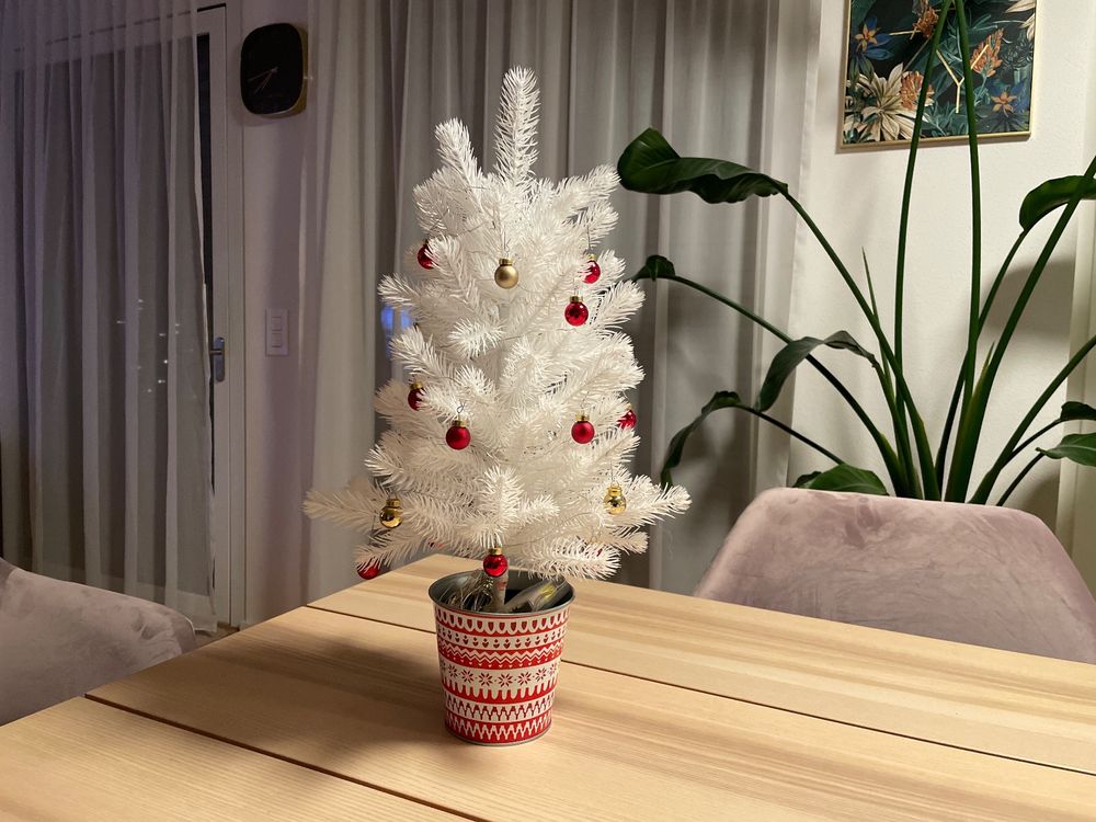 Kleiner weisser Tannenbaum Kaufen auf Ricardo