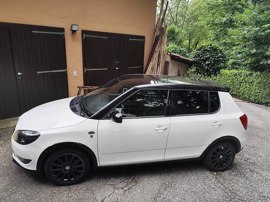 Skoda Automobili: SKODA FABIA MONTECARLO – Usato da Odogno venduto da Eurobit