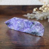 ✲ Charoit Freiform ✲ 24g / 75mm Charoite Freeform
