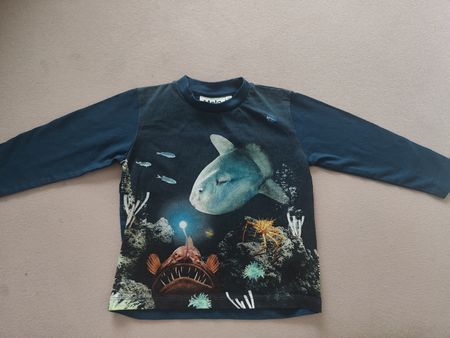 Langarmshirt Molo Grösse 92 blau NEU