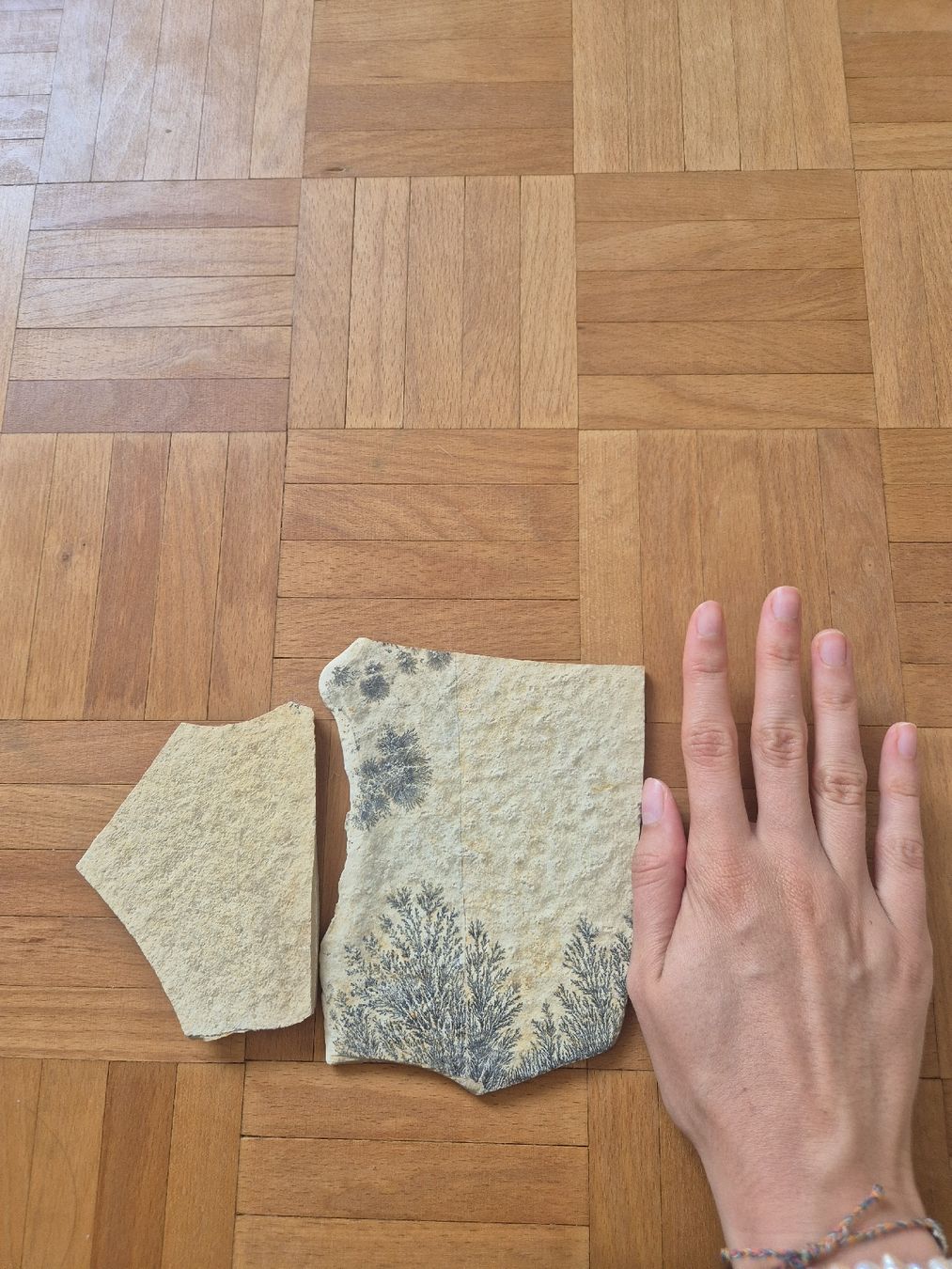 Fossiles: Fossil Dendriten Platten – D'occasion à Erlenbach ZH par Marielou222 3