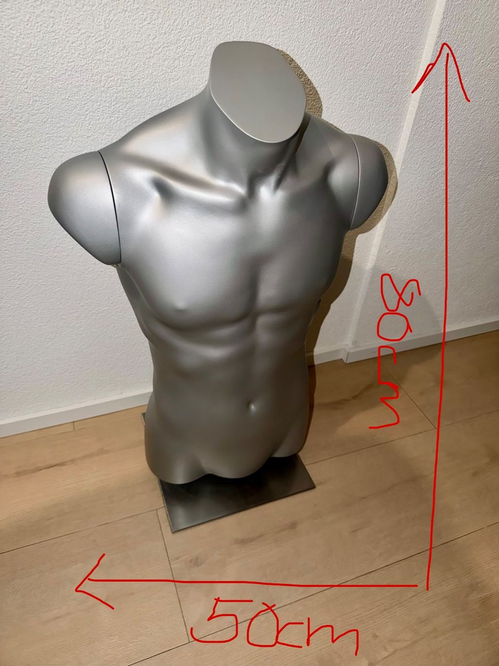 Altro in Decorazioni & Accessori: Schaufensterpuppe Mann Torso matt silber – Usato da Greifensee venduto da potenza66