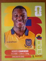 Panini ECU9