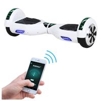Hoverboard ROBWAY EBalanceBoard WeiB 2.0