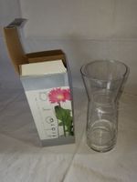Glas Vase Flora