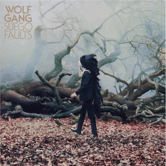 CD: Wolf Gang - Suego Faults – Usato da Uzwil venduto da visions77