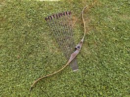 JACKALOPE Moonstick Carbon - 50 Zoll - 30 lbs