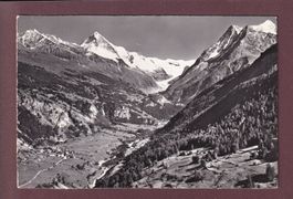 EVOLENE - Dent Blanche