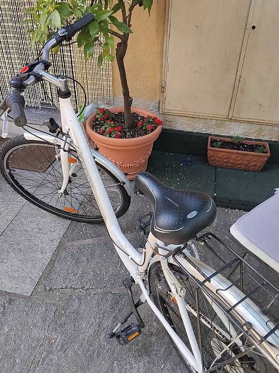 Vélos: Bici leopard – D'occasion à Bellinzona par robertodiapason 1