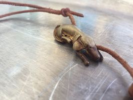 Origineller Anhänger Hund (vergoldet)