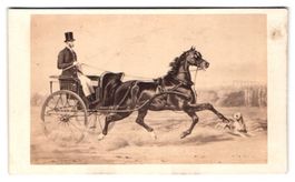 Fotografie Bulla Frères, Paris, Rue Tiq