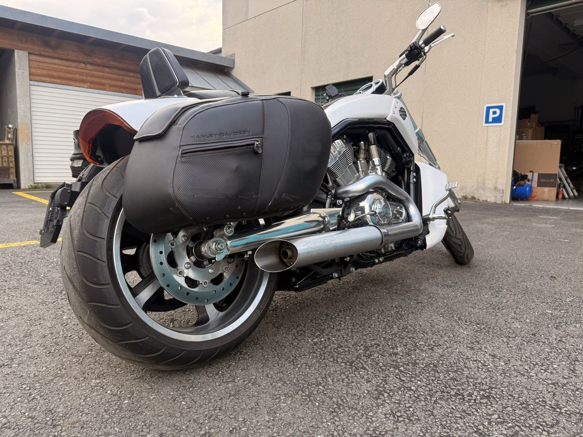 Harley-Davidson Chopper: Harley Davidson VRSFC V-ROD – Usato da Val-d'Illiez venduto da LuckLuc 1