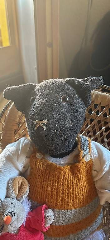 Spielzeuge: Teddy – Gebraucht aus Kaufdorf von per_5khy 1