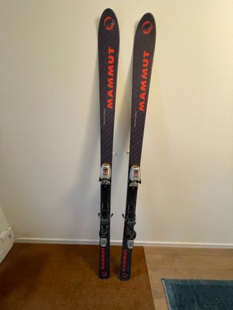 Mammut Skis - 180cm - Rarität