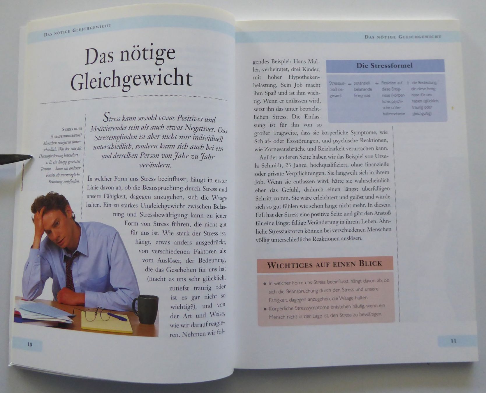 Libri: Büchlein Stress erkennen, vorbeugen, heilen – Usato da Aesch BL venduto da Kauri1 3