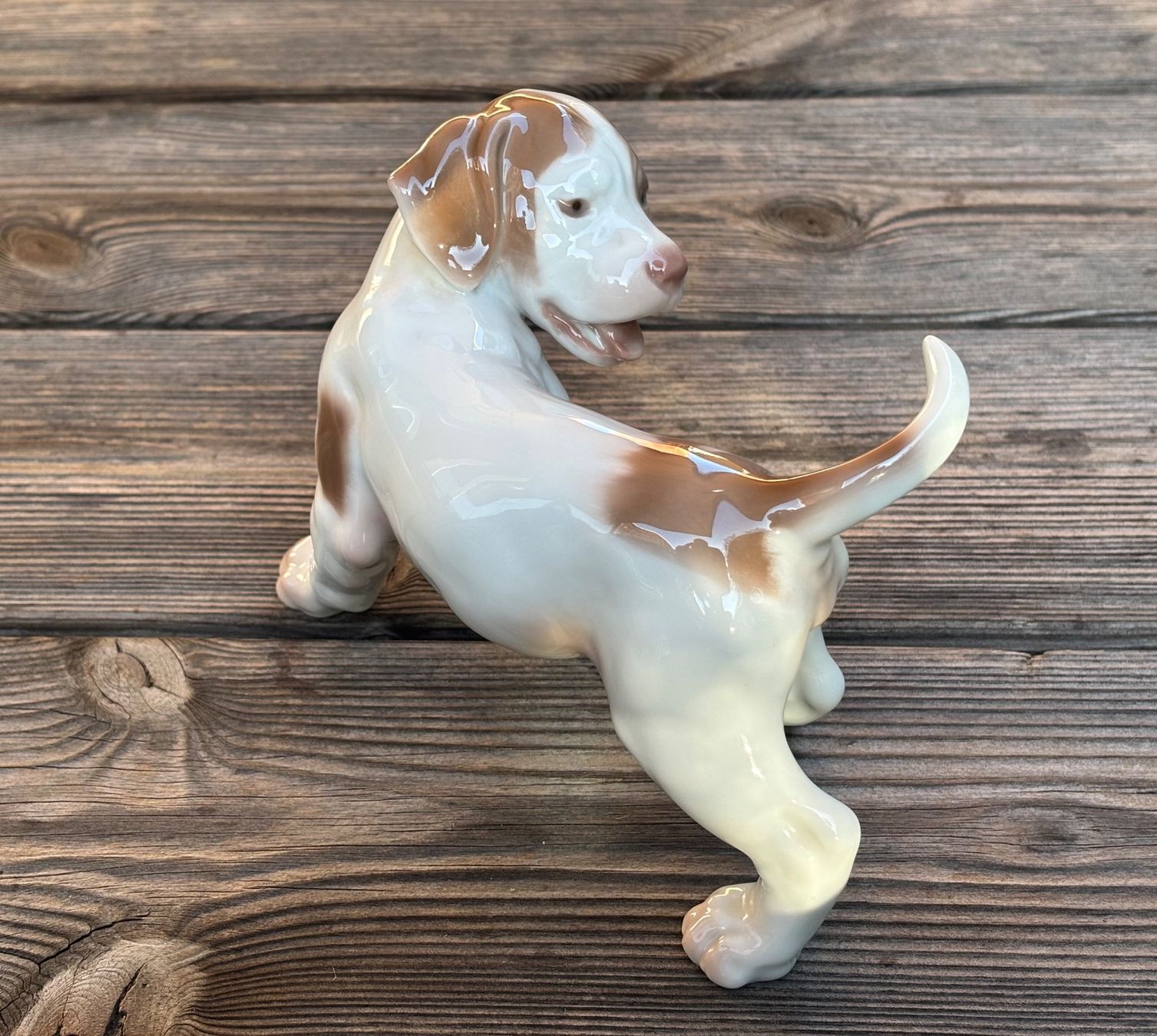 Bing & Grøndahl Statuette: Porzellanfigur Pointer Welpe Bing & Gröndahl – Usato da Lüchingen venduto da Eeizo 4