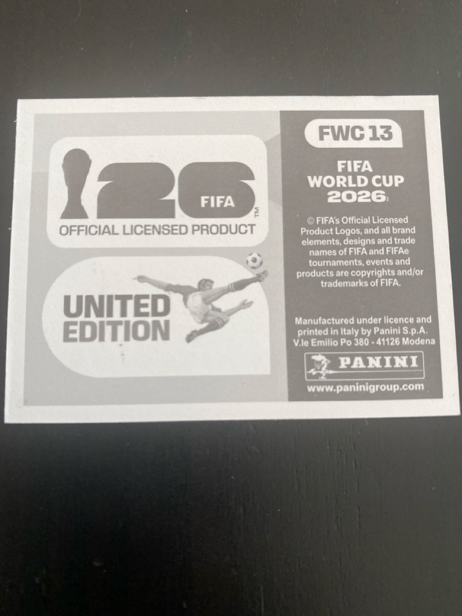 Panini Sammelbilder & Trading cards: FWC 13 PANINI Sticker – Gebraucht aus Baden von Dunkelheit 1