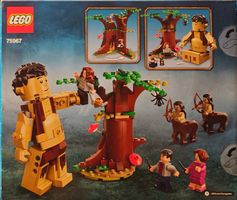 LEGO 75967 Forbidden Forest: Umbridge's Encounter, Neu & OVP