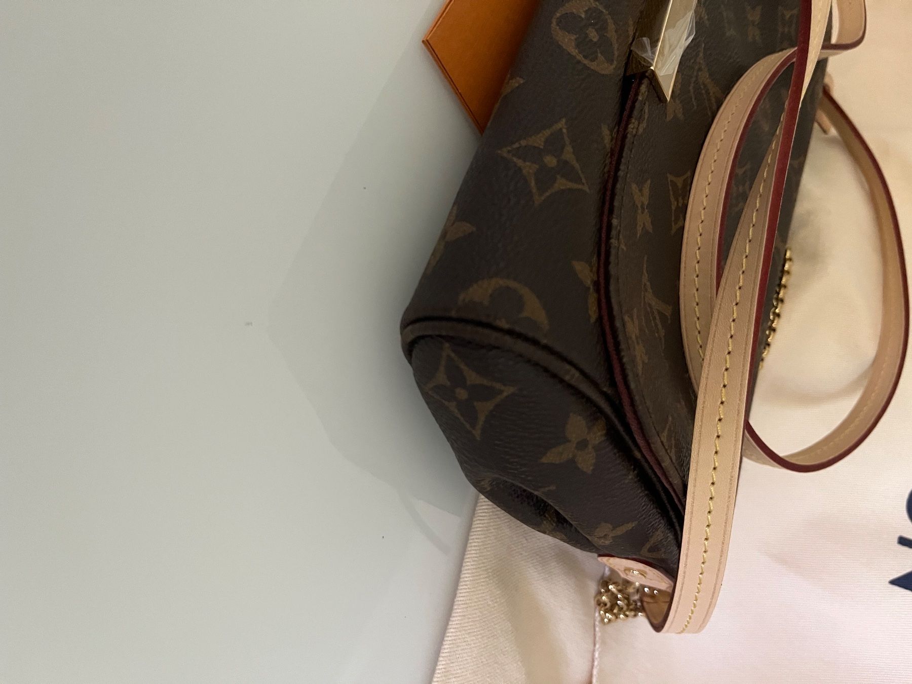 Louis Vuitton Borse da donna: Louis Vuitton Favorite MM – Usato da Metzerlen venduto da DG71 4