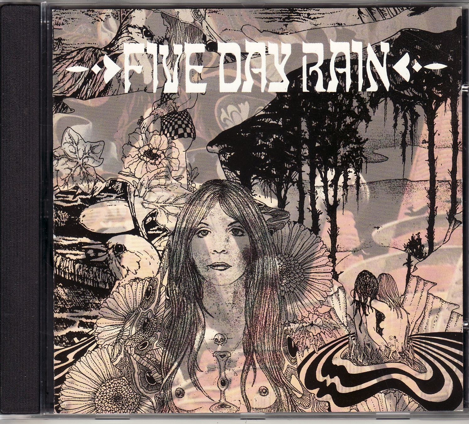 CD: Five Day Rain Five Day Rain – Usato da Boussens venduto da catfood01