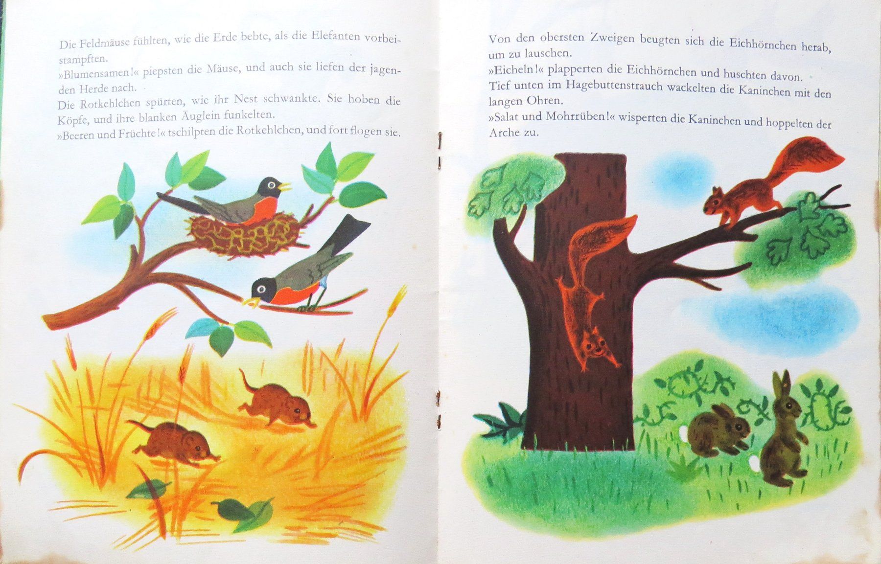Libri: Walt Disney Büchlein Arche Noah 1962 – Usato da Ettingen venduto da Burago 1