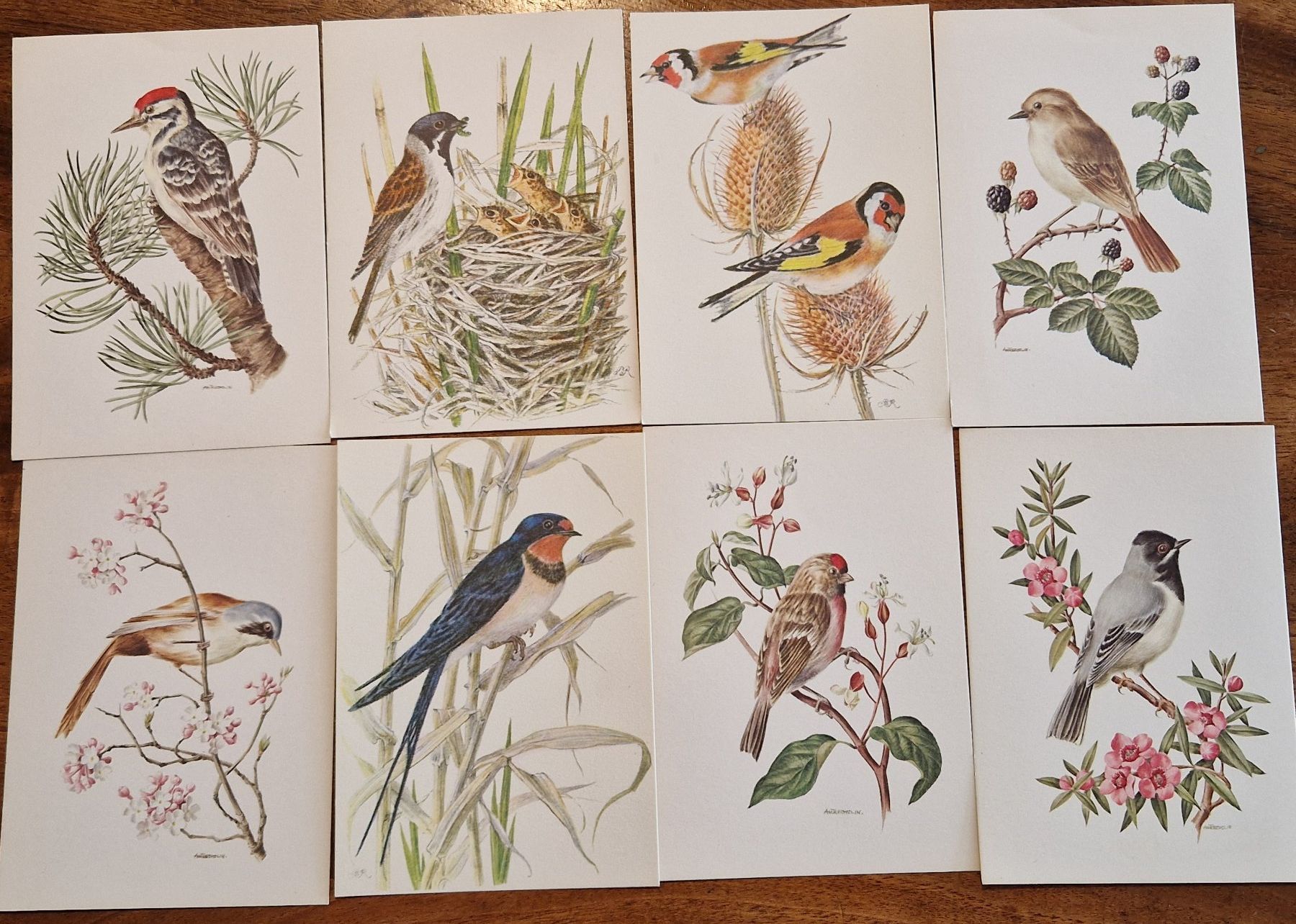 Cartoline postali: 8 Postkarten Vögel Europas ca Jahr 1970 – Nuovo (secondo la descrizione) da Horgen venduto da lemisk
